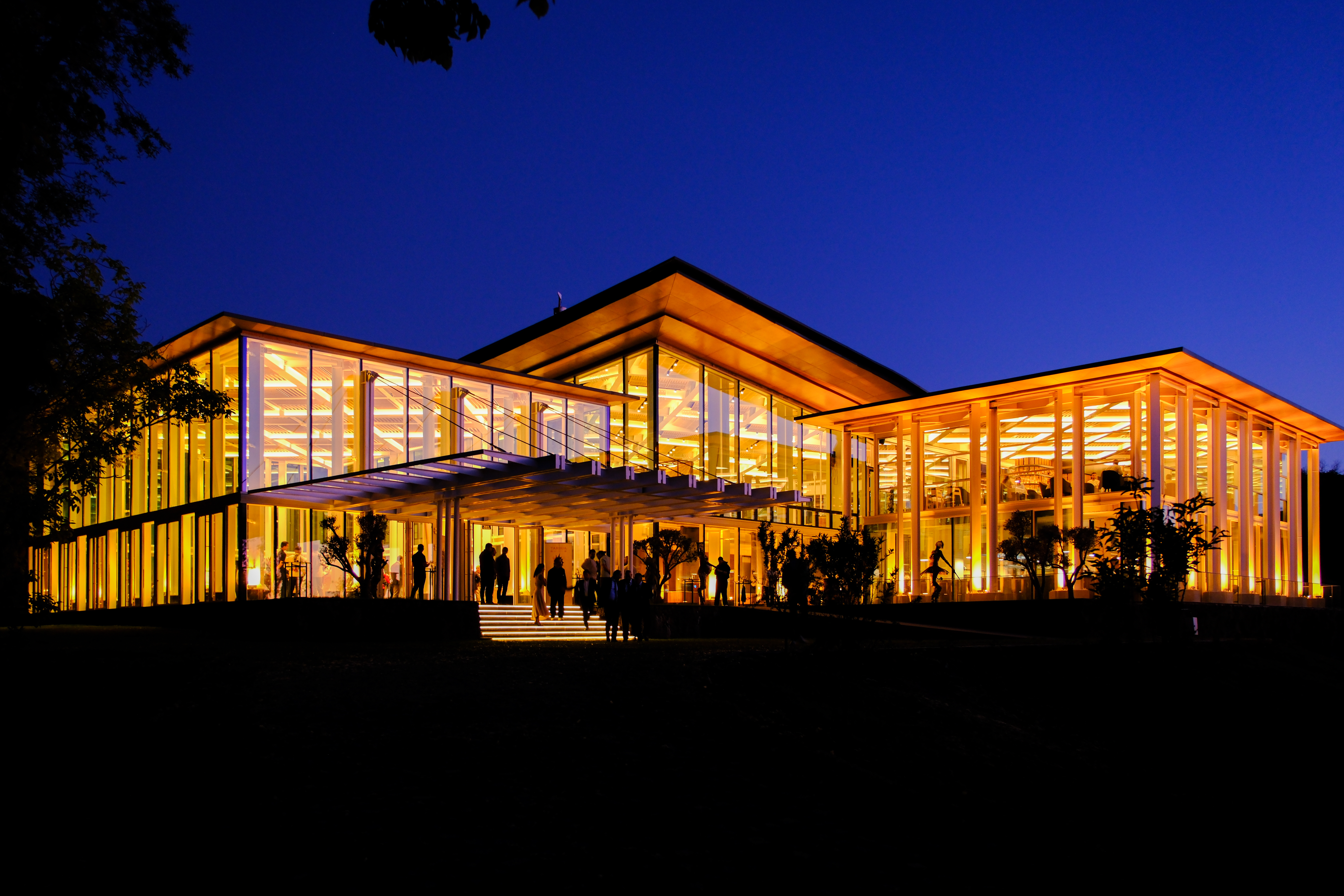 041b7615 c626 4a65 afbd 0a64266f6483 Tariria (1)